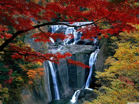 Autumn Maple Waterfall World Most Famous Waterfall Landscape