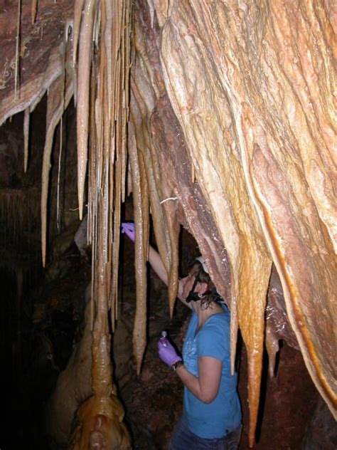 Bizarre Microbes Discovered In Desert Cave In Arizona Nbc News