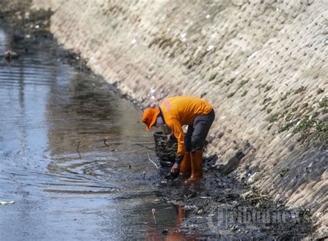 Menjaga lingkungan sekolah tidak hanya dengan menjaga kebersihannya saja. Menjaga Kebersihan Sungai (Krueng) Daroy di Banda Aceh ...