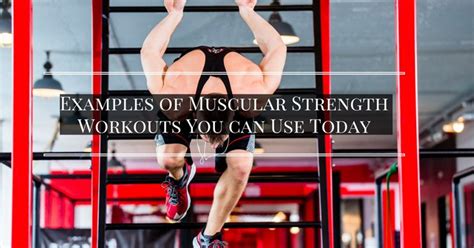 Examples Of Muscular Strength Workouts You Can Use Today