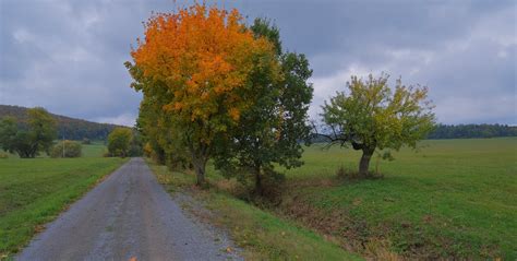 Herbstliche Landschaft Paisaje Otoñal Foto And Bild Landschaft Wege