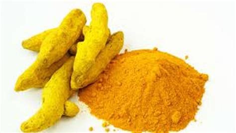 Turmeric Powder Exporters From India