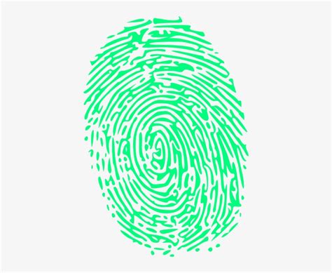 Green Fingerprint Clip Art At Clker Green Fingerprint Png PNG Image