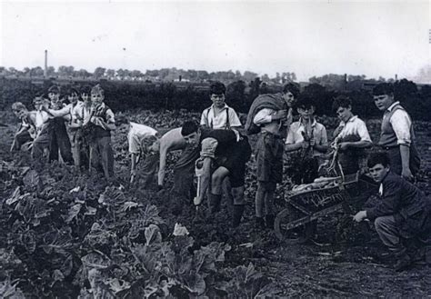 Dig For Victory World War Ii Herts Memories