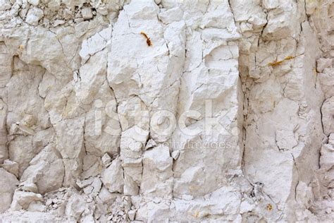 Detail Of Limestone Calcareous Chalk Stock Photo Royalty Free