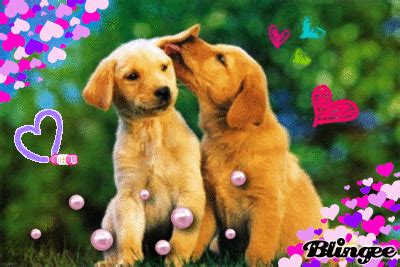 Puppies 'n love | arrowhead towne center. Cute Puppy Love Picture #118766384 | Blingee.com