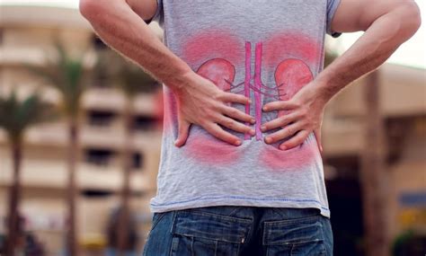 Kidney Pain Is Symptom Of Many Different Health Issues The Post City