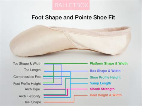 Pointe Shoe Fitting Complete Guide To Getting The Best Pointe Shoes