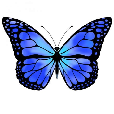 Blue Butterfly By Vicksterxp