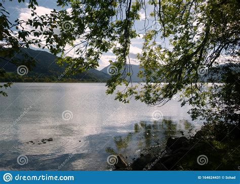 Idyllic Lake With Mountains In The Background And Leaves Branch In The