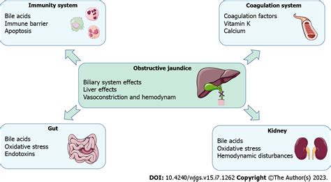 Pathophysiological Consequences And Treatment Strategy Of Obstructive