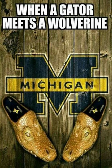 Pin By Joann May On M Go Blue Wolverine For Life Michigan Go Blue
