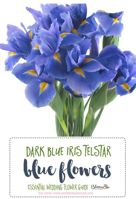 The Essential Blue Wedding Flowers Guide Types Of Blue