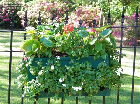 Specialty Gardening Pamela Crawford And Side Planting Containers 1 By