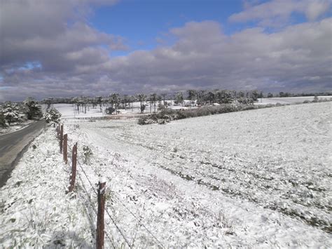 A onda de frio de 1975 ocasionou um impressionante e raro episódio de neve na cidade de curitiba. Onda de frio no Brasil | Cidades do brasil, Brasil, Frio ...