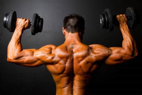 Bodybuilding Anatomy Shoulders • Bodybuilding Wizard