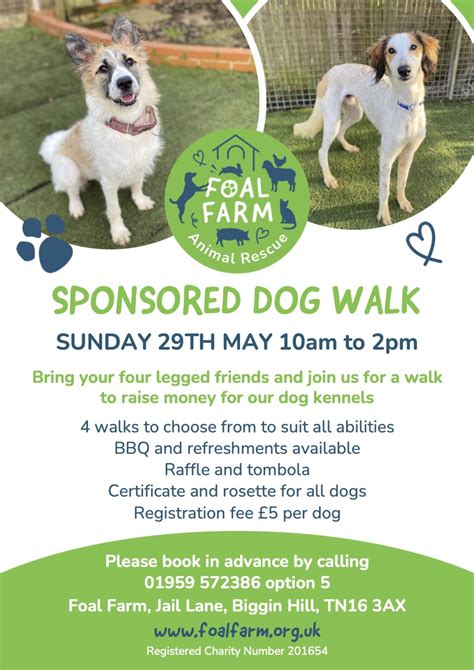 Foal Farm Animal Rescue Sponsored Dog Walk Selsdon Primary School And