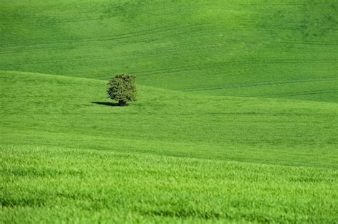 Free Photo Moravian Tuscany Beautiful Spring Landscape In South