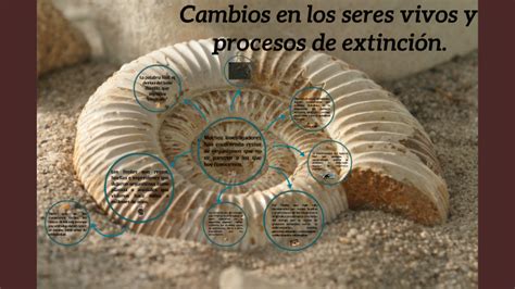 Cambios En Los Seres Vivos Y Procesos De Extincion By Claudia Hernandez