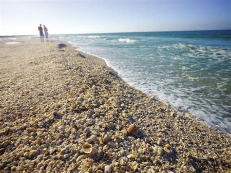The Worlds Best Beaches For Hunting Seashells Travel Channel Blog