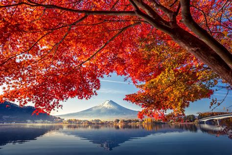 Why Fall May Be The Best Time To Visit Japan Travel Smithsonian