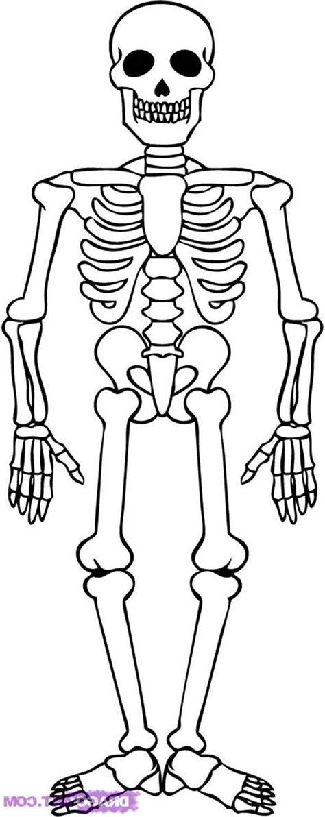 Sharpie retractable permanent markers, fine point. Awesome Skeleton Drawing Coloring Page : Kids Play Color