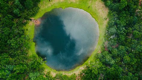 41100 Pond Top View Stock Photos Pictures And Royalty Free Images Istock