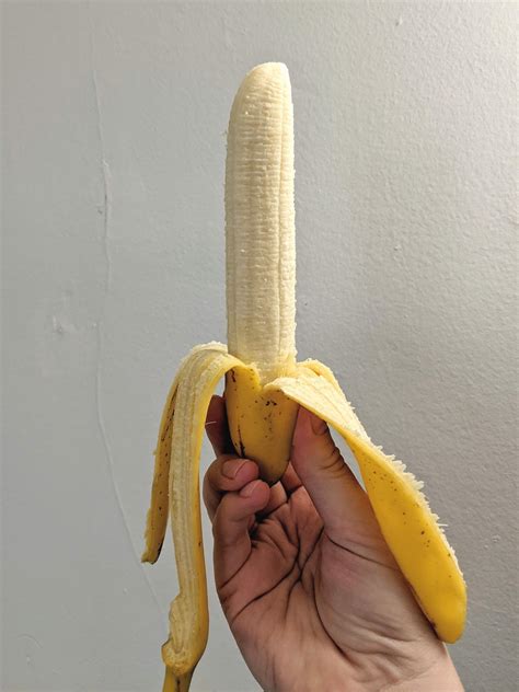 This Unusually Straight Banana Raccidentalwesanderson