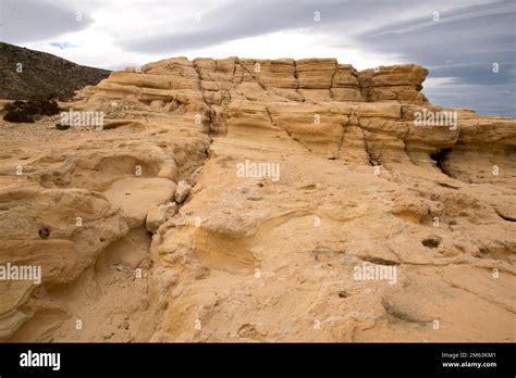 Fossil Dune El Playazo Cabo De Gata Natural Park Almeria Andalusia Spain Stock Photo Alamy