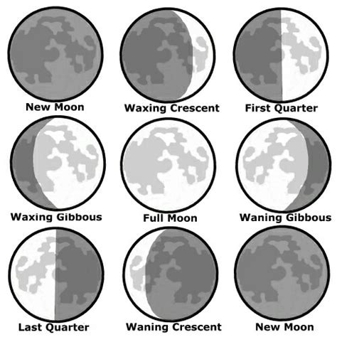 Phases Of The Moon Drawing At Getdrawings Free Download