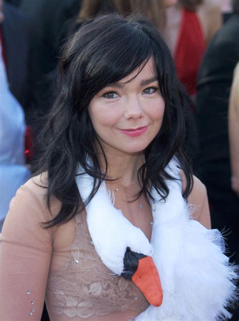 Bjork Gives Her Support To Pussy Riot