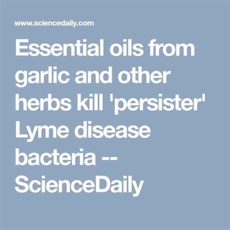 Essential Oils From Garlic And Other Herbs Kill Persister Lyme