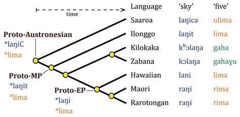 Austronesian Language Tree Language Tree Maori Language