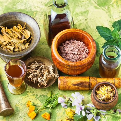 Top 7 Herbal Supplement Vendors Verified Market Research