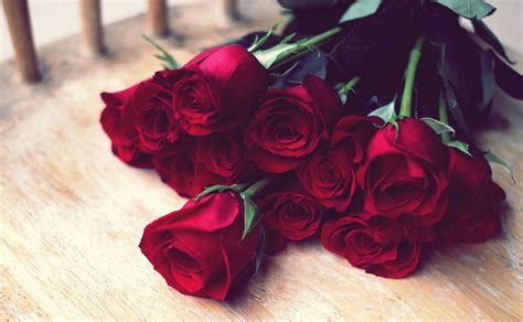 Nature Red Roses Roses Red Bouquet Passion Beauty Love