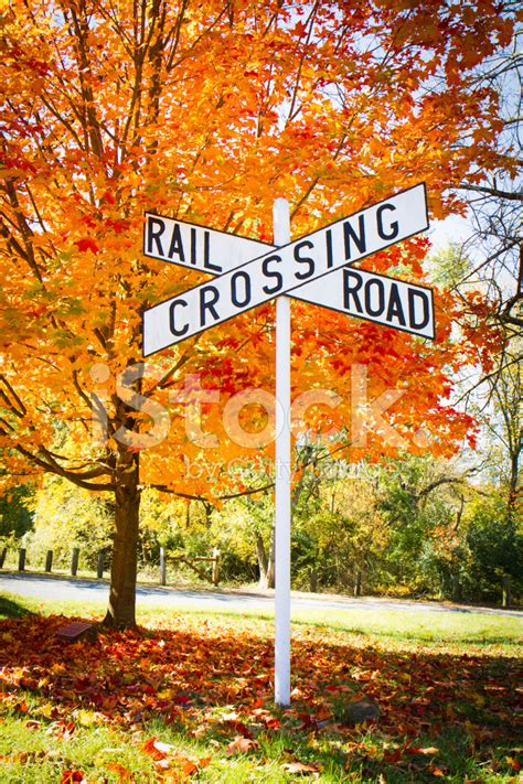 Autumn Railroad Crossing Sign Stock Photo Royalty Free Freeimages