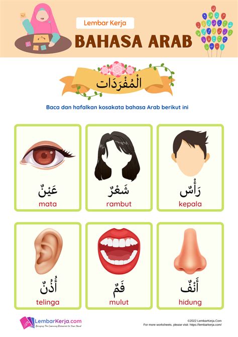 Kosa Kata Bahasa Arab Anggota Tubuh Homecare