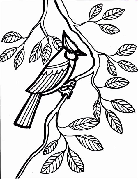 Bird Coloring Pages - 321 Coloring Pages