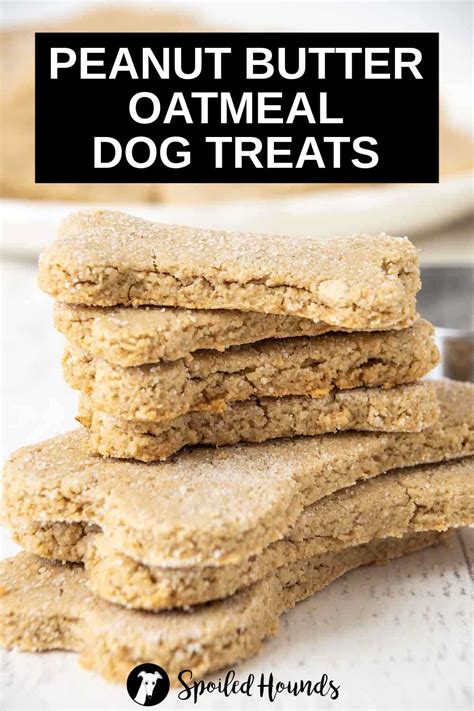 Peanut Butter Oatmeal Dog Treats Recipe Spoiled Hounds