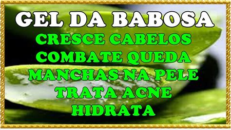 Como Fazer Extrair O Gel Da Babosa Em Casa Corretamente Dicas De