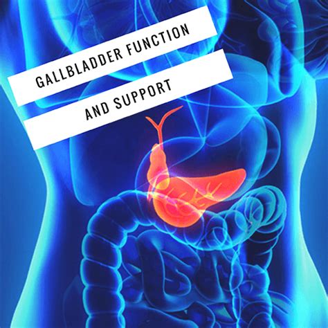 Gallbladder Function And Support Natural Medicine Group