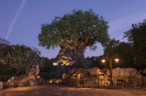 The Complete Guide To Disneys Animal Kingdom