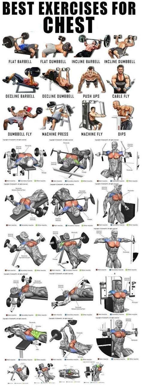 Best Exercise For Chest Chest Workouts Chest Workout For Men Chest