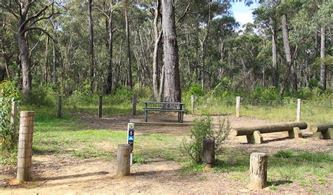 Carrington Falls Campground Nsw National Parks