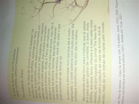 Texto De 3 Paragrafos