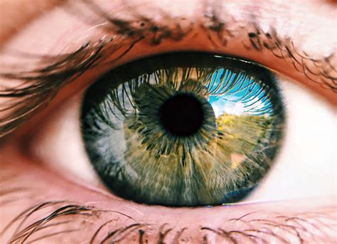 What Resolution Can The Human Eye See Understanding Vision