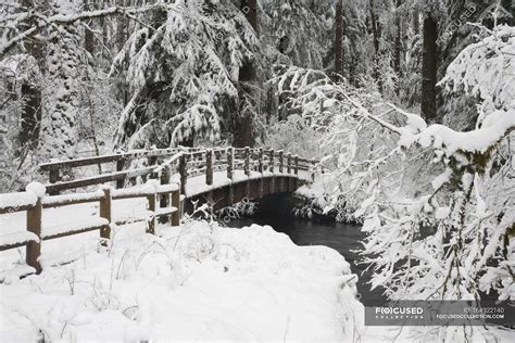 Snow Covered Bridge In Silver Falls — Rural Rushing Stock Photo