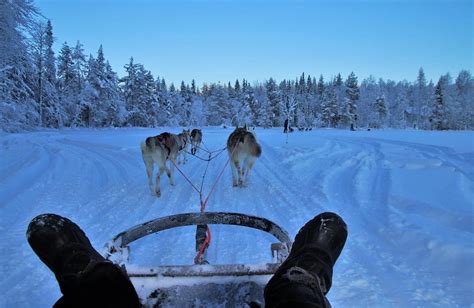 Viaggio in Lapponia quando andare e cosa vedere Il futuro è adesso