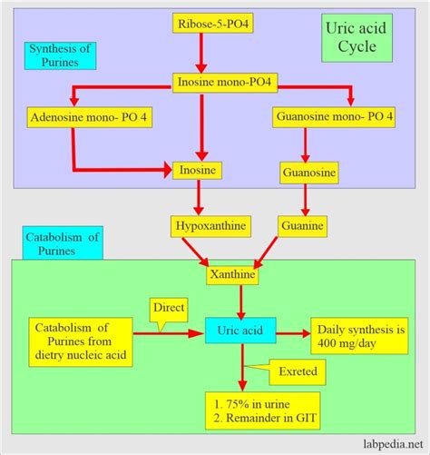 Chemical Pathology Labpedia Net