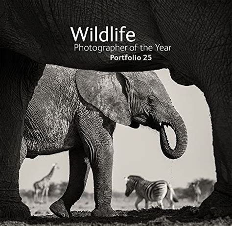 Wildlife Photographer Of The Year Portfolio 25 By Natural History